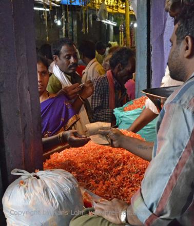 Bazaar, Bazar, Mysore_DSC4741_H600